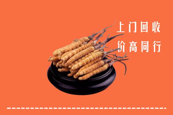 附近收购：新城区冬虫夏草回收多少钱每克