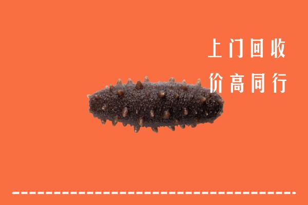 新城区回收海参