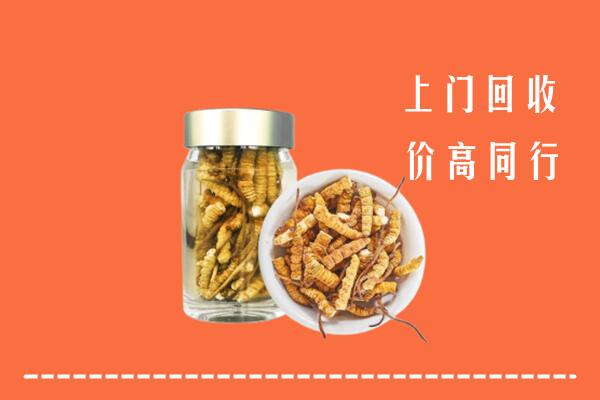 新城区回收冬虫夏草